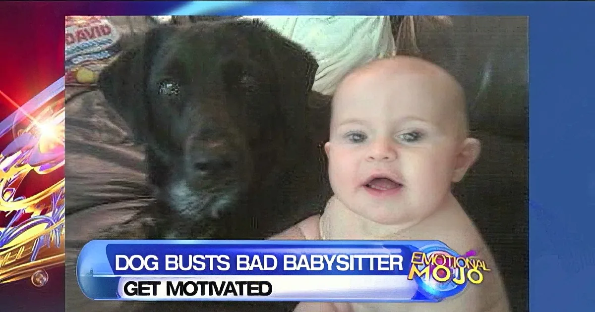 A baby and a black puppy are shown with a news banner reading "Dog busts bad babysitter."