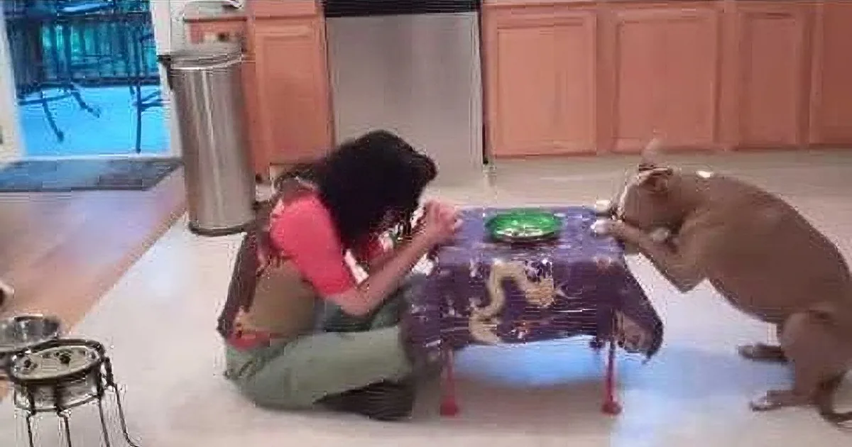 A woman kneels on the floor, feeding a dog at a table covered with a purple tablecloth.