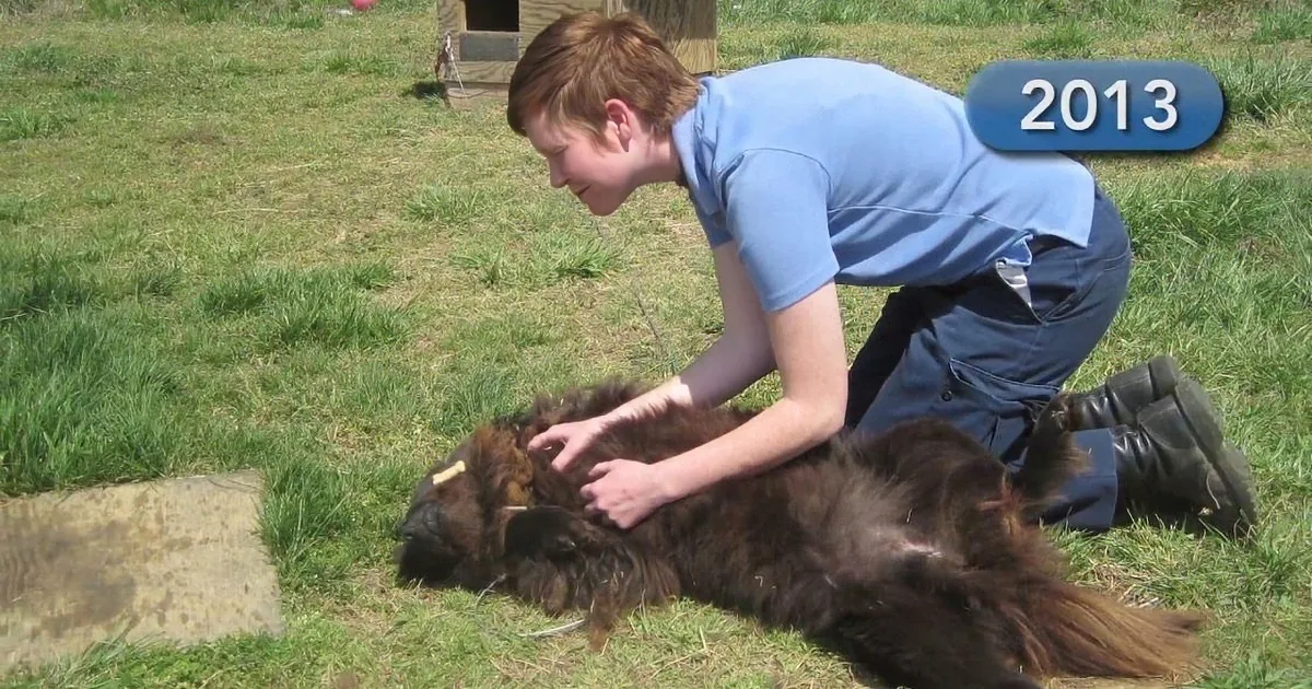 Dog Chained to a Barrel in the Dirt, but Then She Saw This Woman Approaching Her!