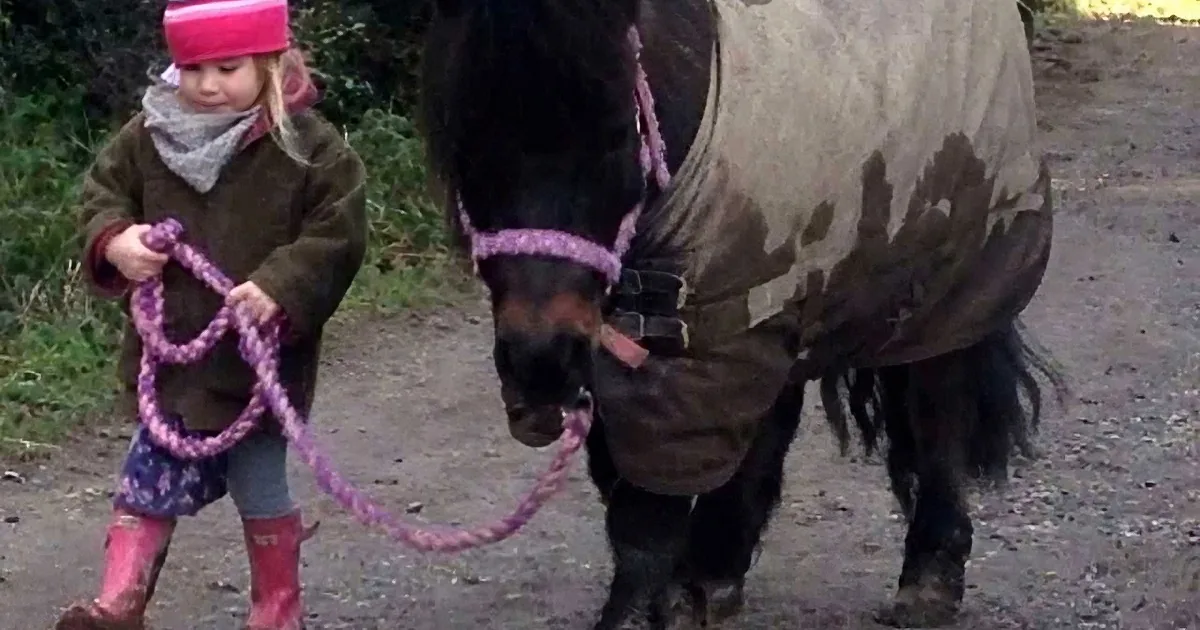 This 3 Yr Old Is Best Friends With a Pony, but What They Do Together? I Can''t Stop Smiling!