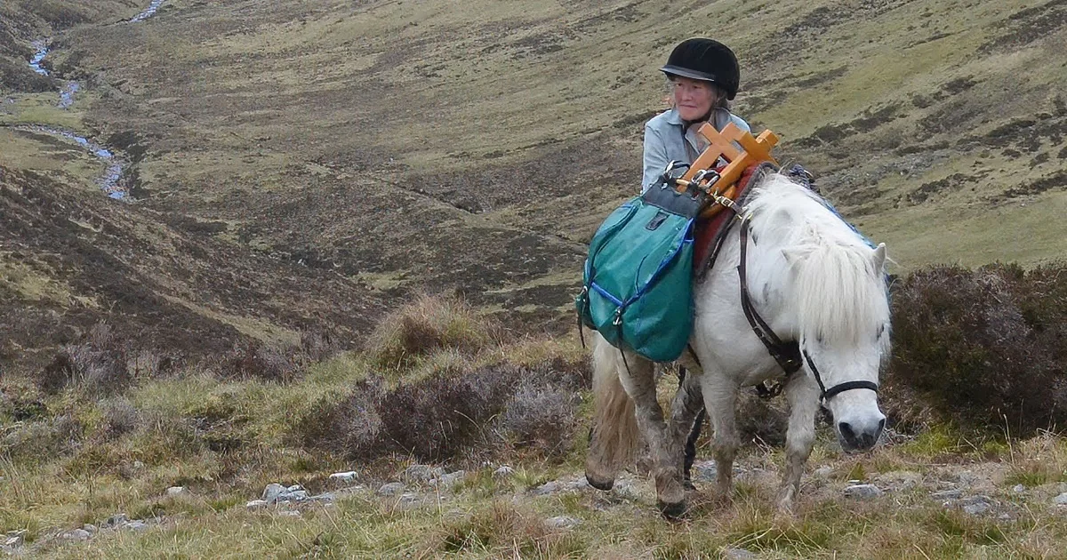 A person rides a white horse with a green bag and wooden cross in a rugged, grassy landscape.
