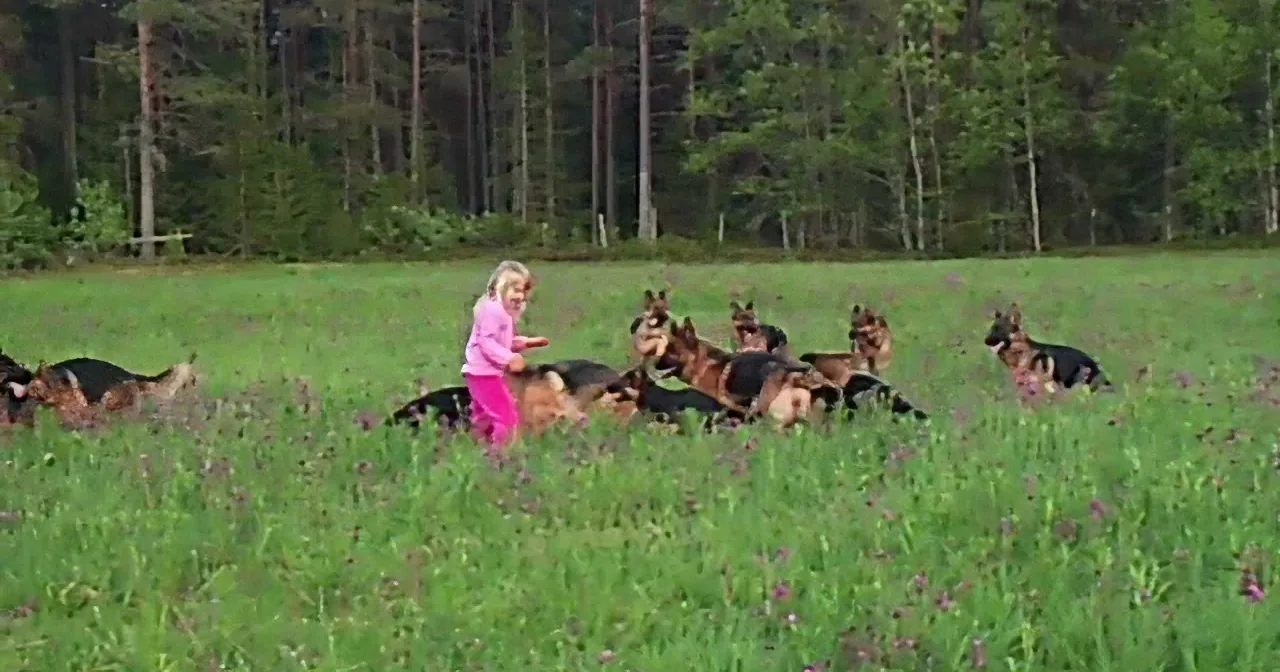 5 Yr Old Plays With 14 Beautiful Dogs. Now Watch When She Lifts Her Arms up! Whoa!