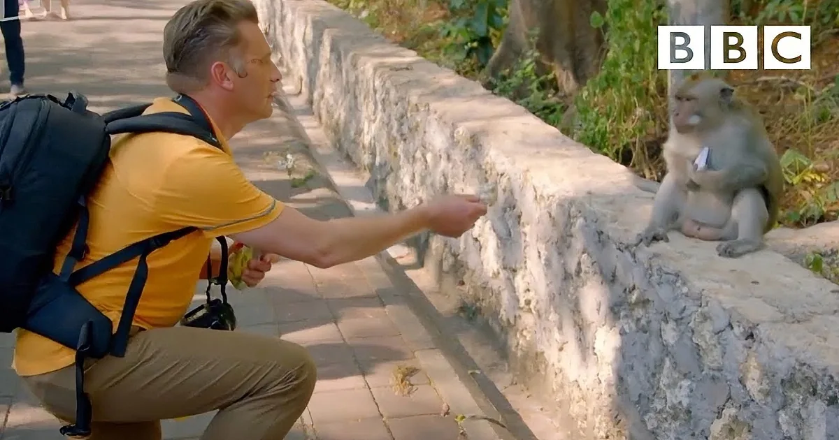 A monkey sits on a stone structure, holding a smartphone, while others rest nearby.