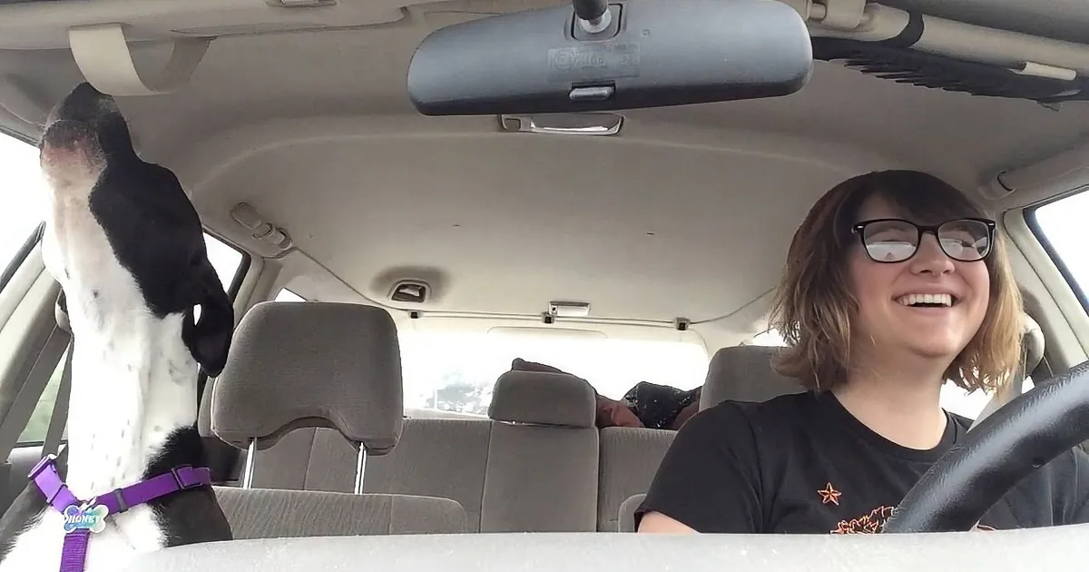 A woman drives a car with a black-and-white dog in the passenger seat, both smiling.