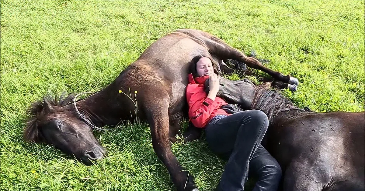Woman Shows off Her Bond With 2 Horses. When She Did This? I Couldn't Believe My Eyes! Wow!