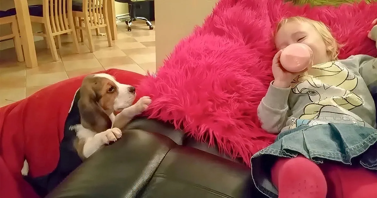 A girl in a pink outfit drinks from a cup while a puppy in a red outfit rests nearby.