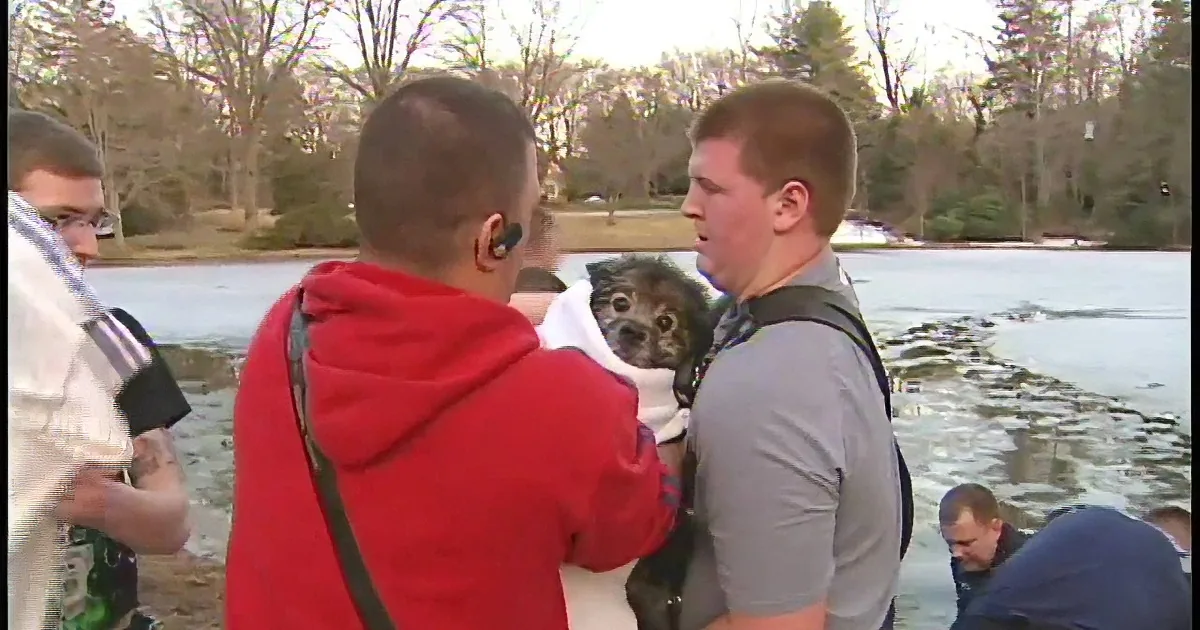 A person in a red hoodie holds a dog while another person in a life vest assists, near a frozen body of water.