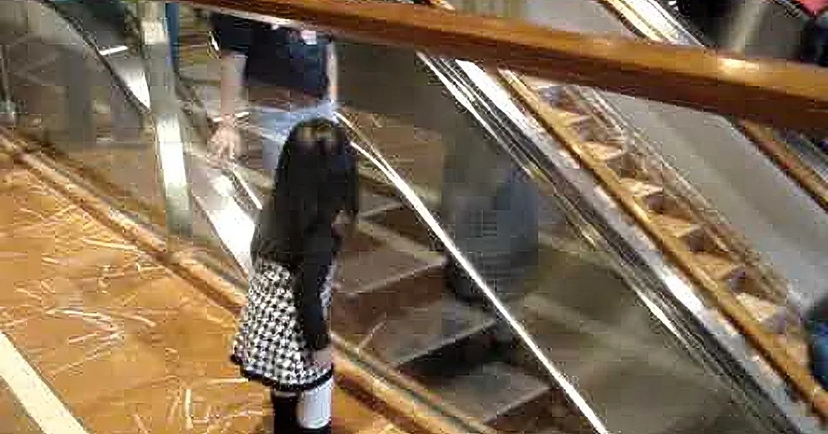 Little Girl Says 'Bye' to Everyone on the Escalator, but Wait Till You See Their Reaction