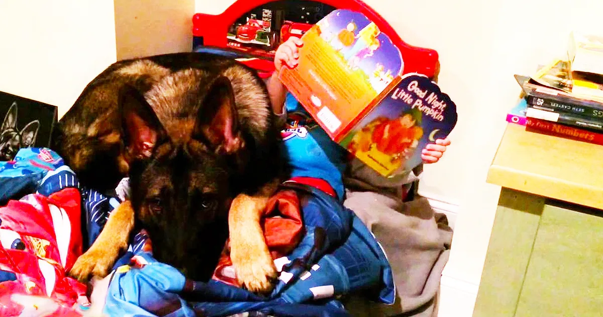 A dog is nestled in blankets, holding a book titled "Good Night Little Pumpkin" with its paws.