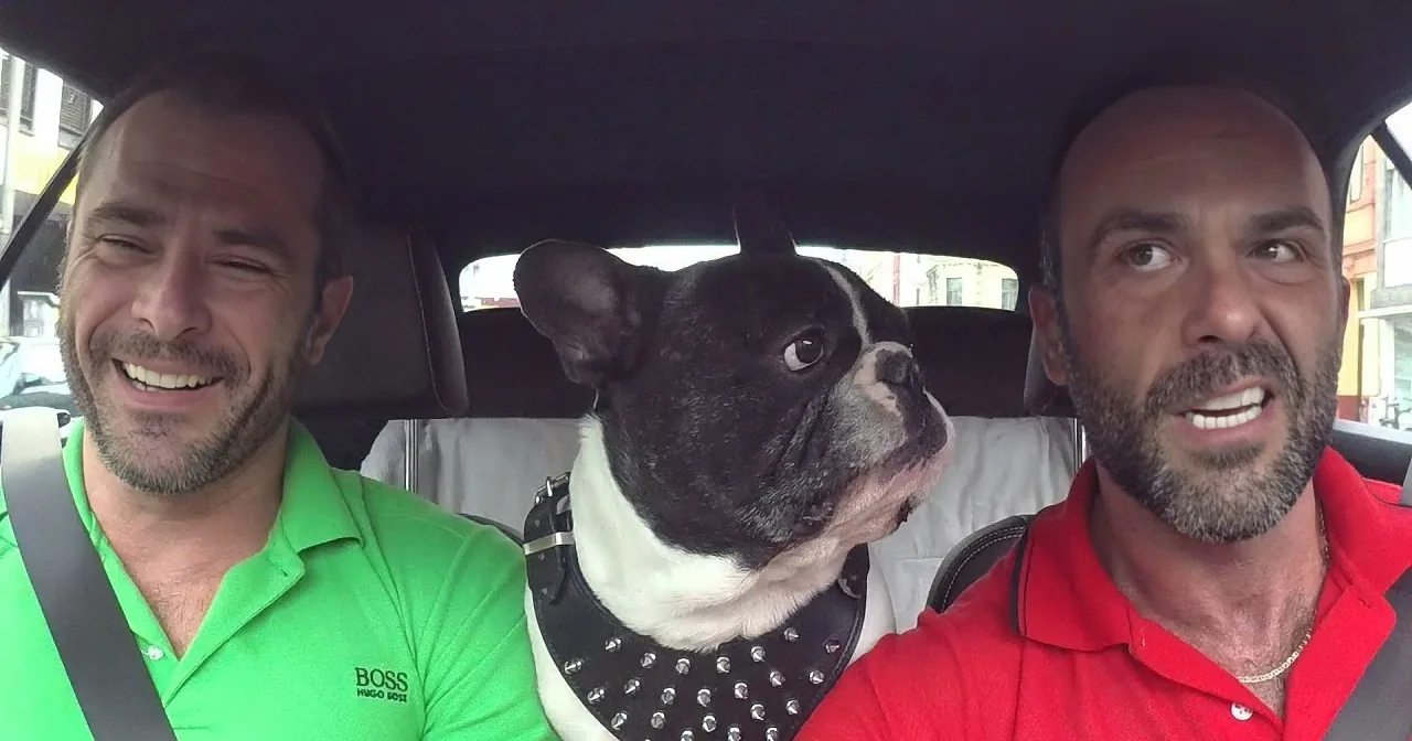 Two men in a car, one in a green shirt, the other in red, with a black and white dog wearing a studded collar.