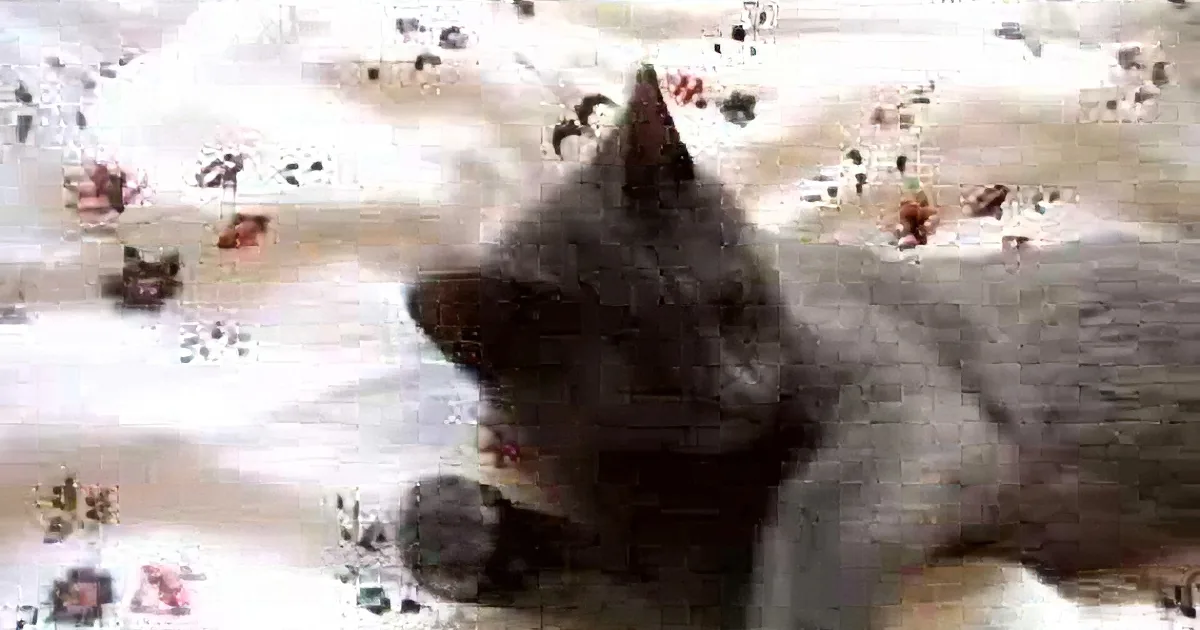 A gray cat is lying on a floral-patterned blanket, looking to the side with its head slightly tilted.