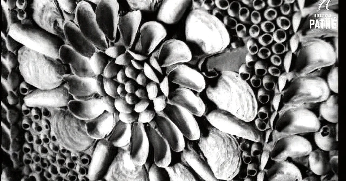 This Mysterious, Centuries-Old Shell Grotto Is Marvelous!