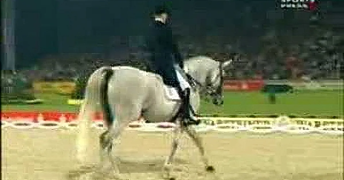 A rider in black attire is riding a white horse in a dressage competition, with a red and white obstacle in the background.