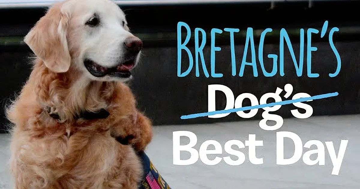 A golden retriever sits on a sidewalk with text overlay reading "Bretagne's Dog's Best Day."