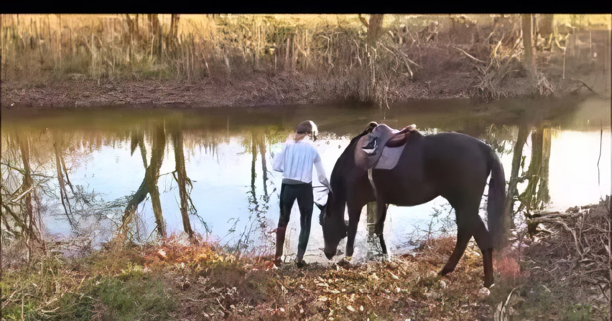 A person in white shirt and black pants stands beside a dark horse near a reflective pond, surrounded by autumn foliage.