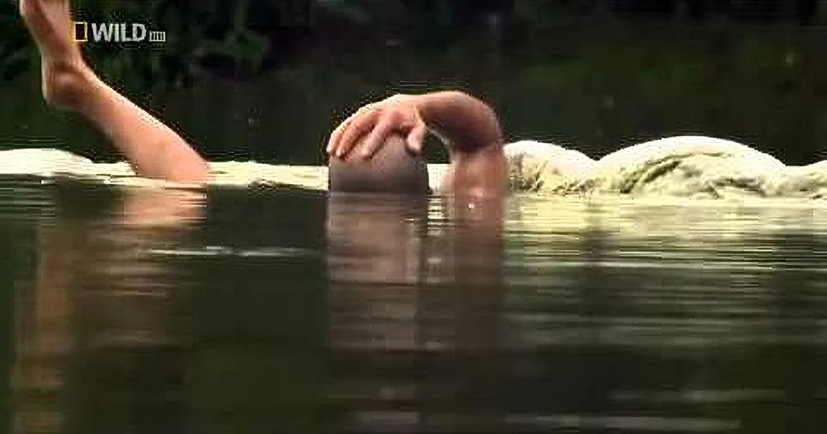 A person is swimming in a body of water, with their arm extended and head submerged.