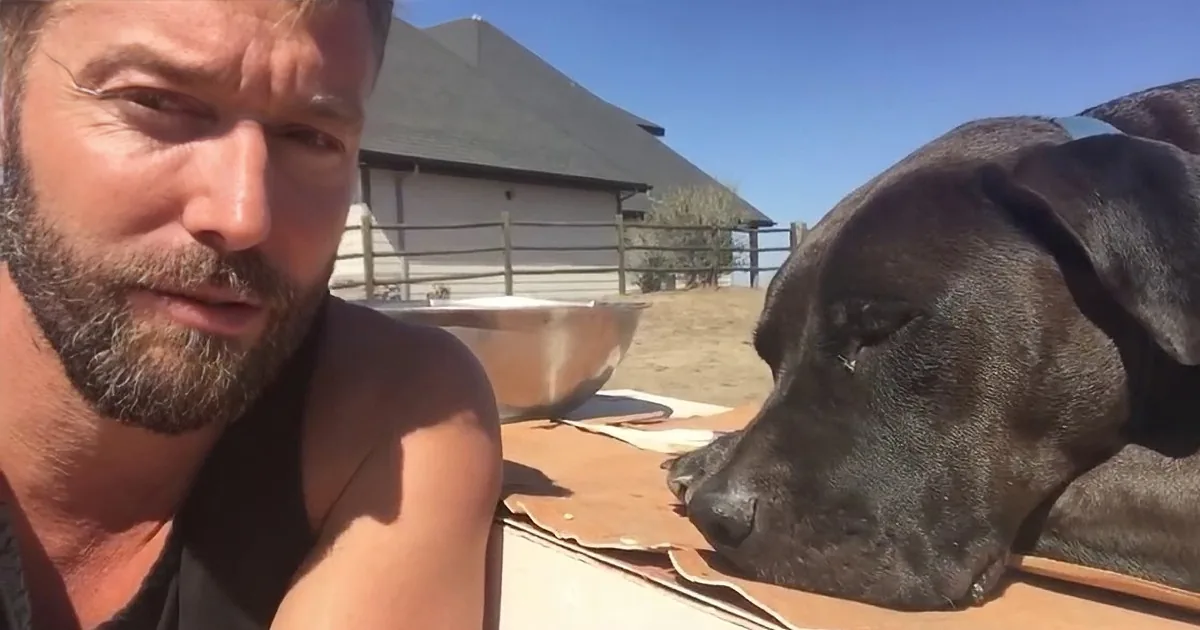 A man with a beard sits beside a black dog resting on a wooden surface under a clear blue sky.
