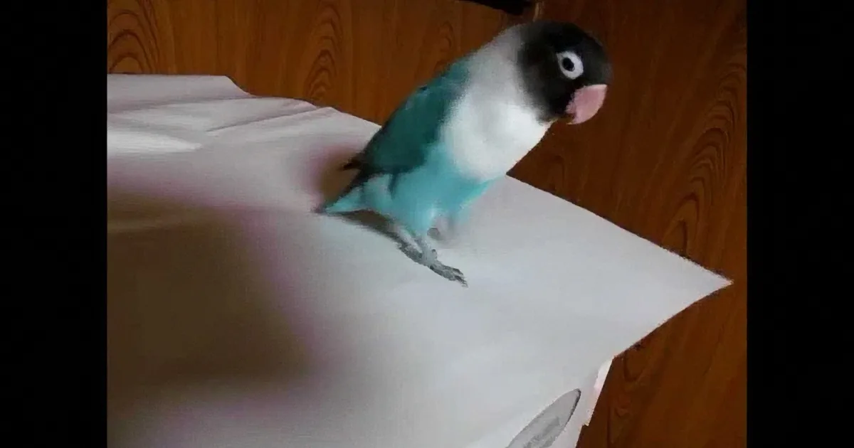 A small bird with a black head and blue body perches on a white paper on a wooden surface.