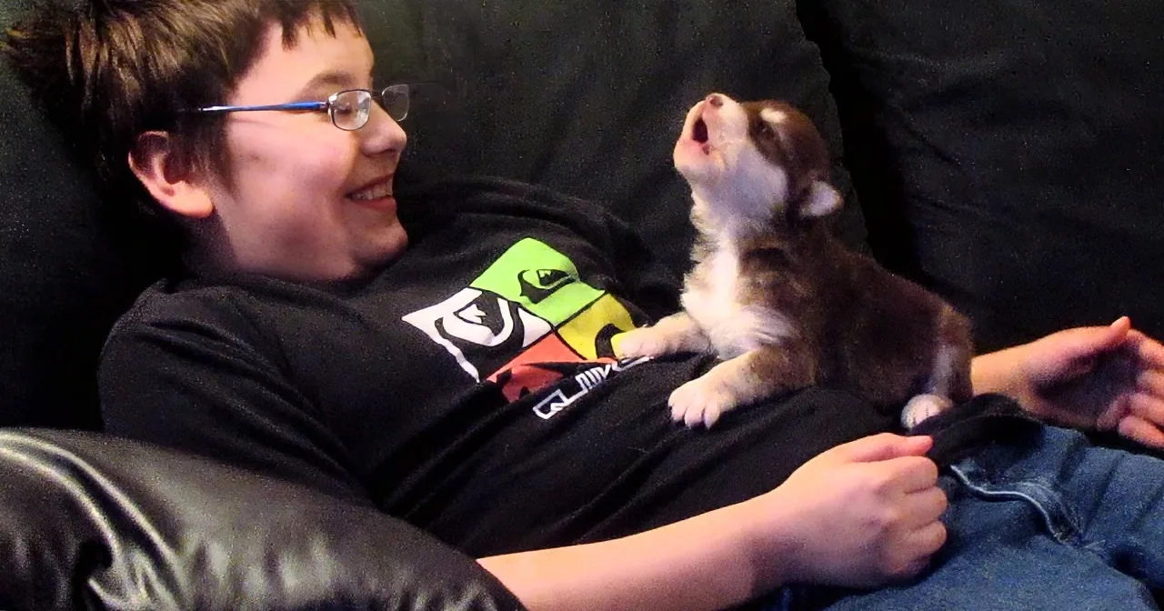 A boy in a black shirt and glasses is lying on a couch, smiling, with a small brown and white puppy on his lap.