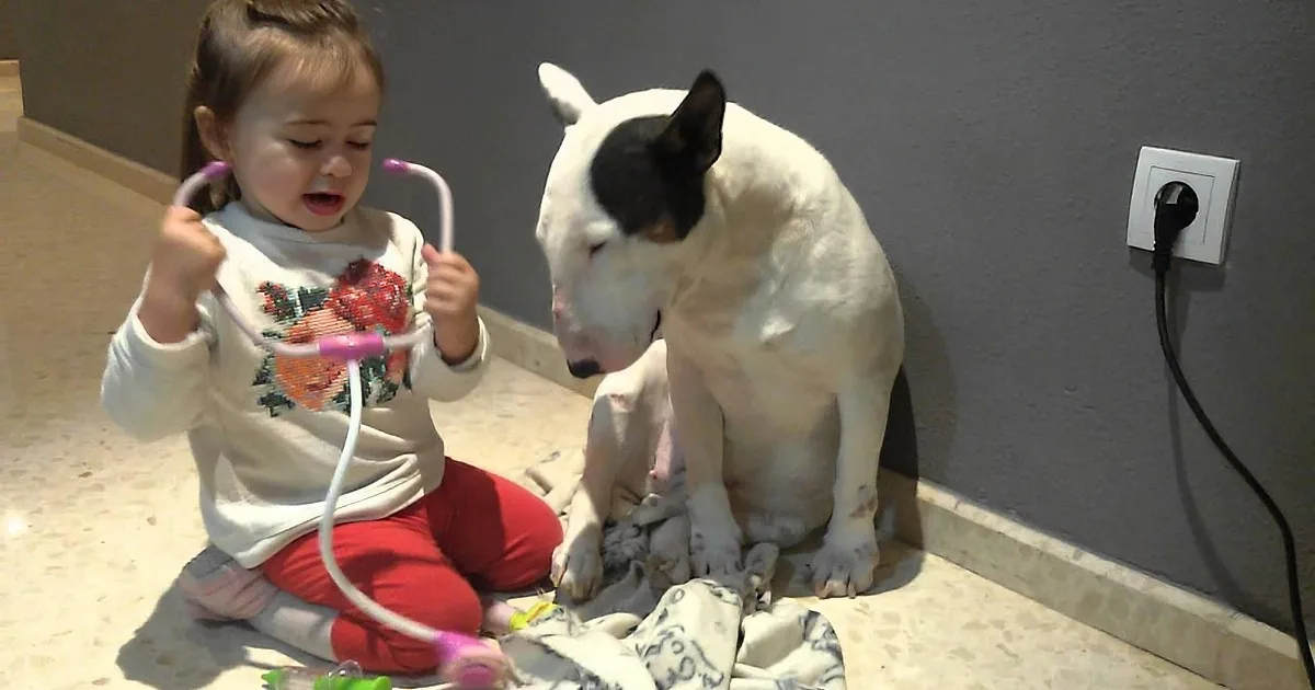 She Starts Playing Doctor With Her Dog, but I Didn''t Expect That Reaction From Him! Whoa!