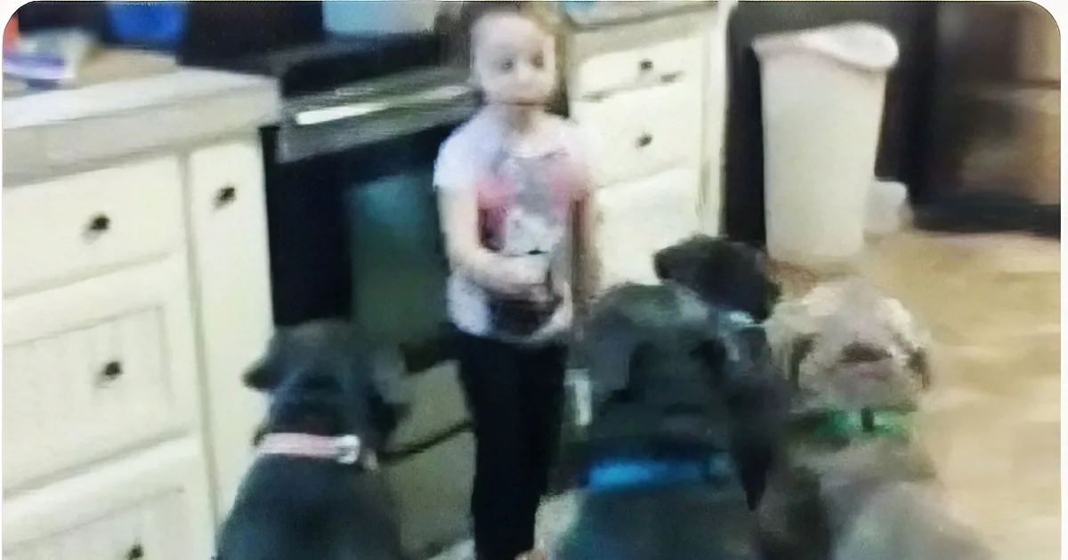 A young girl stands in a kitchen, surrounded by dogs, with a blurry background.