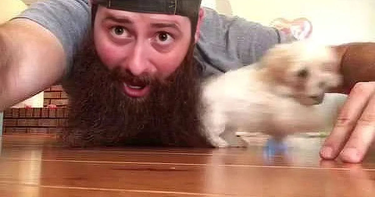 Watch What Happens in This Rare Duck Dynasty Audition Video. You''ll Bend Over Laughing!