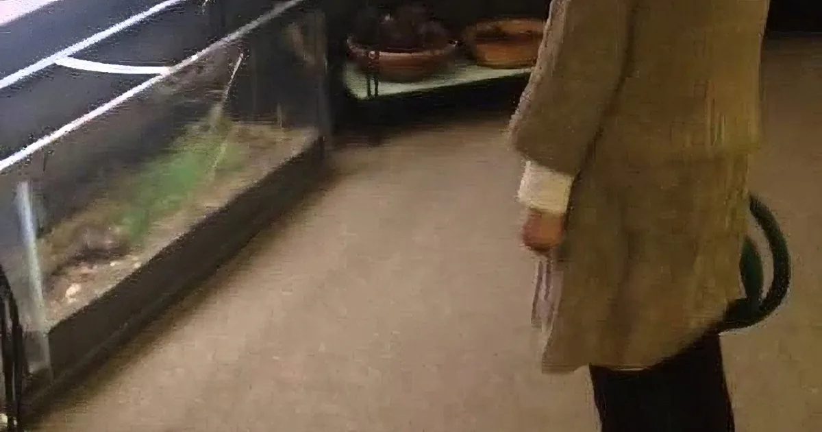 A person in a brown coat walks past a terrarium with plants and a shelf with bowls in the background.
