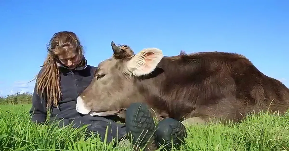 A person in a field pets a cow while sitting on the grass.