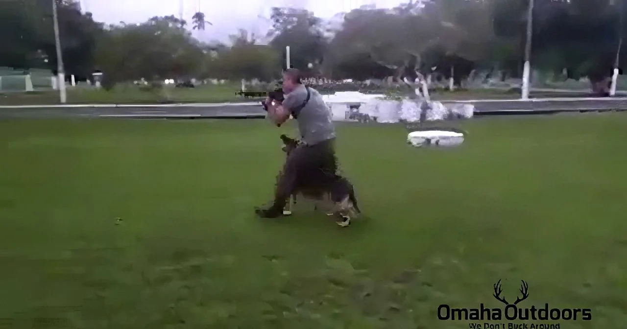 A man in a gray shirt runs across a grassy field, holding a camera, with a deer in the foreground.