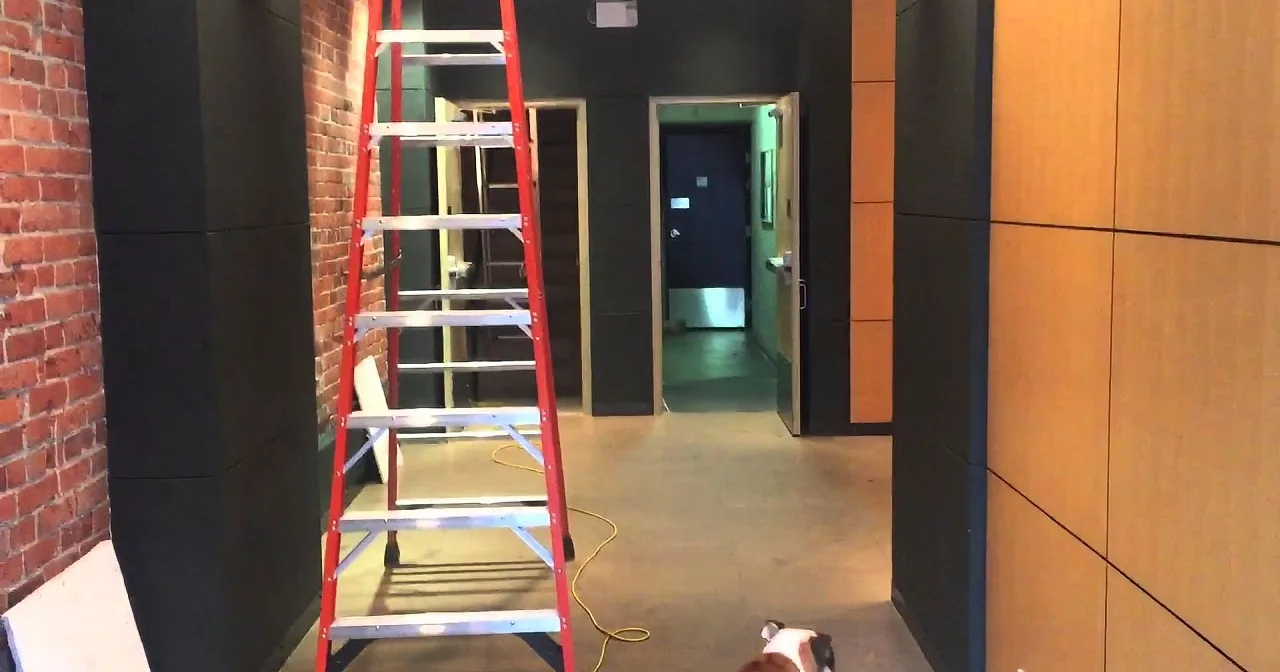 A red ladder leans against a brick wall in a hallway with a door and a light switch visible.