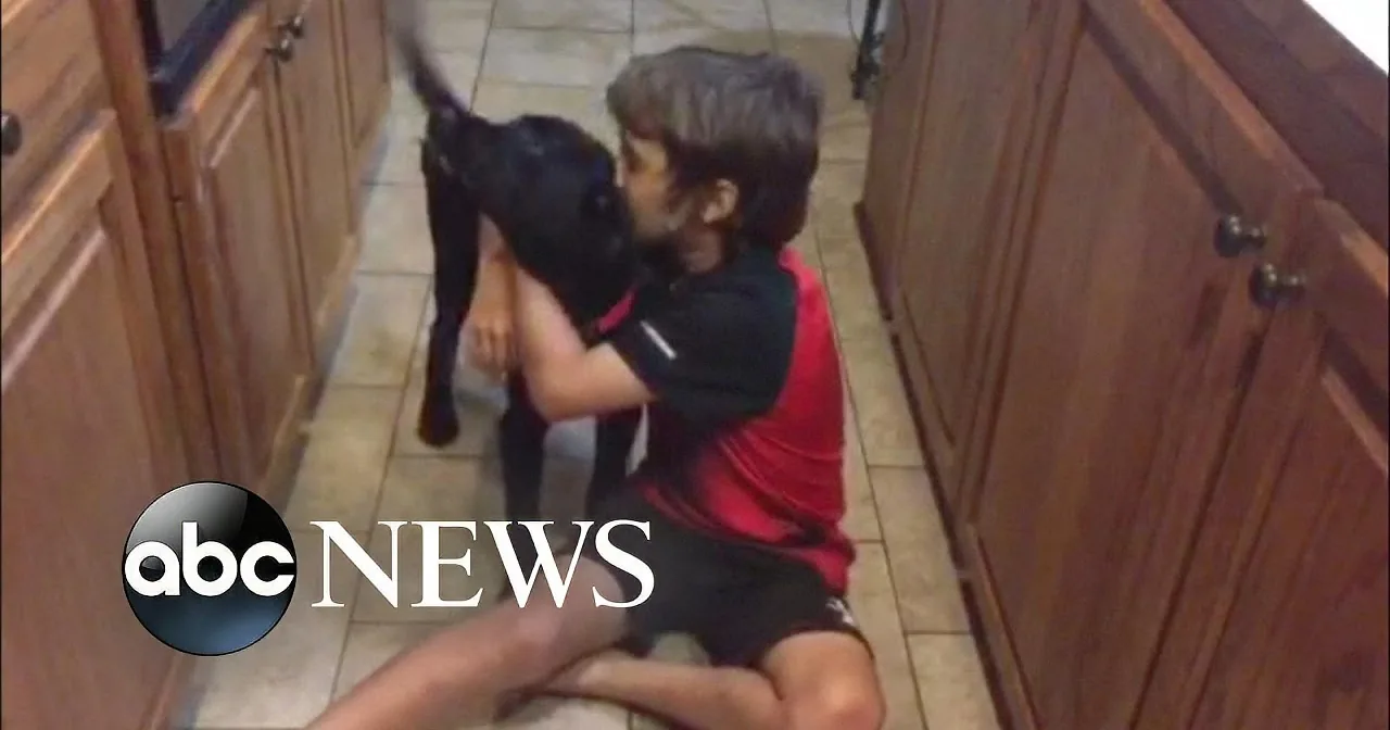 A child in a red shirt and black shorts is hugging a black dog in a kitchen with wooden cabinets.