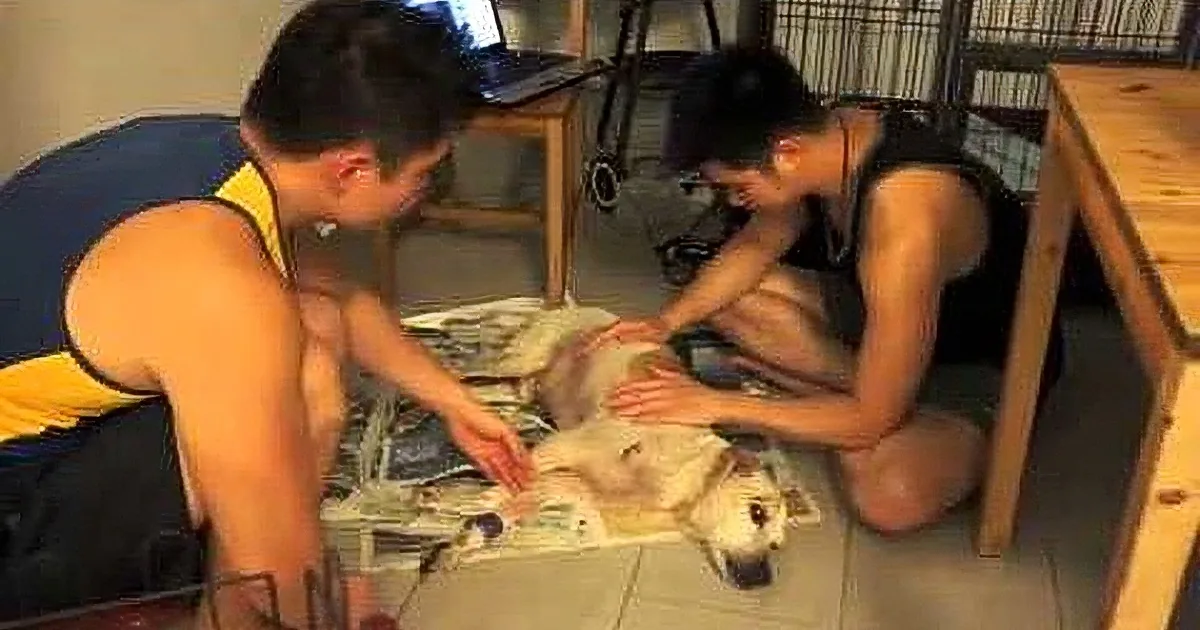 Two shirtless men are sitting on the floor, one holding a white object while the other reaches out towards it.