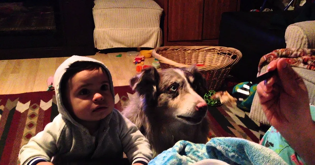 A baby in a hooded sweatshirt and a dog are both reaching for something in a cozy living room setting.