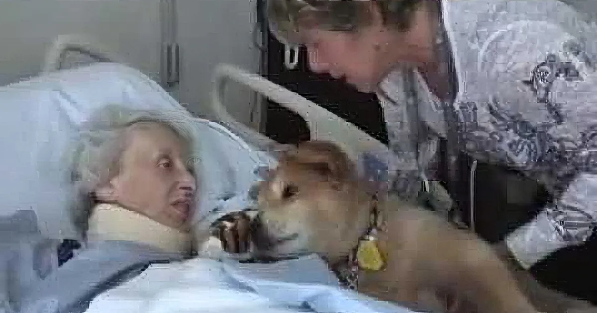 An elderly woman in a hospital bed interacts with a small dog, accompanied by a nurse.