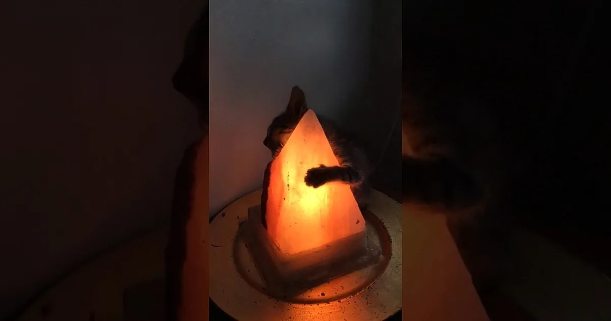 A cat is nestled inside a glowing, triangular light fixture, creating a cozy and warm atmosphere.