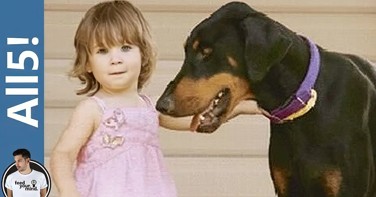 Unbelievable! This Doberman Throws the Baby Through the Room, His Family Will Know Why Later.