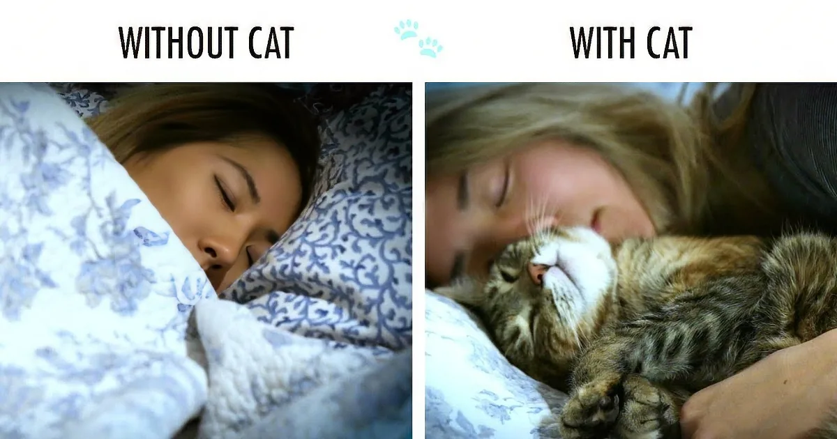 A woman sleeps peacefully with and without a cat, showcasing the comfort brought by the feline presence.