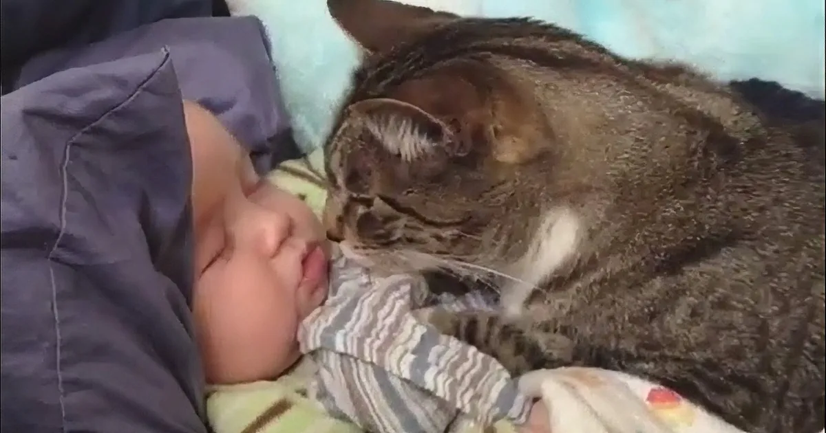 A cat is cuddling and nuzzling a sleeping baby, both resting on a bed with blankets.