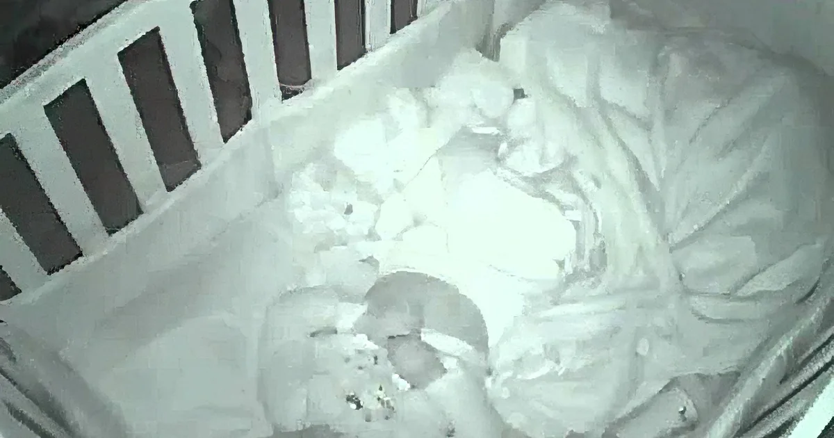 Precious Prayer of Love! a Two-Year Old's Amazing Confession to God Will Warm Your Heart!