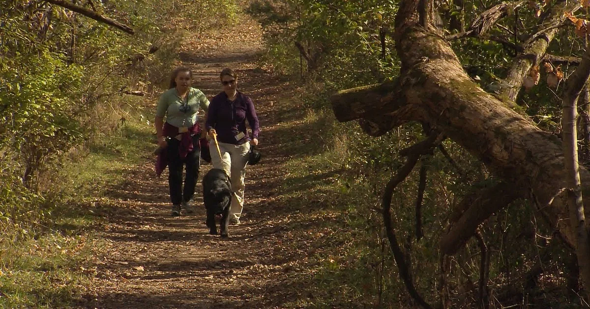 Walking a Shelter Dog Can Save Their Life. Adoption and Fitness in One Hike!