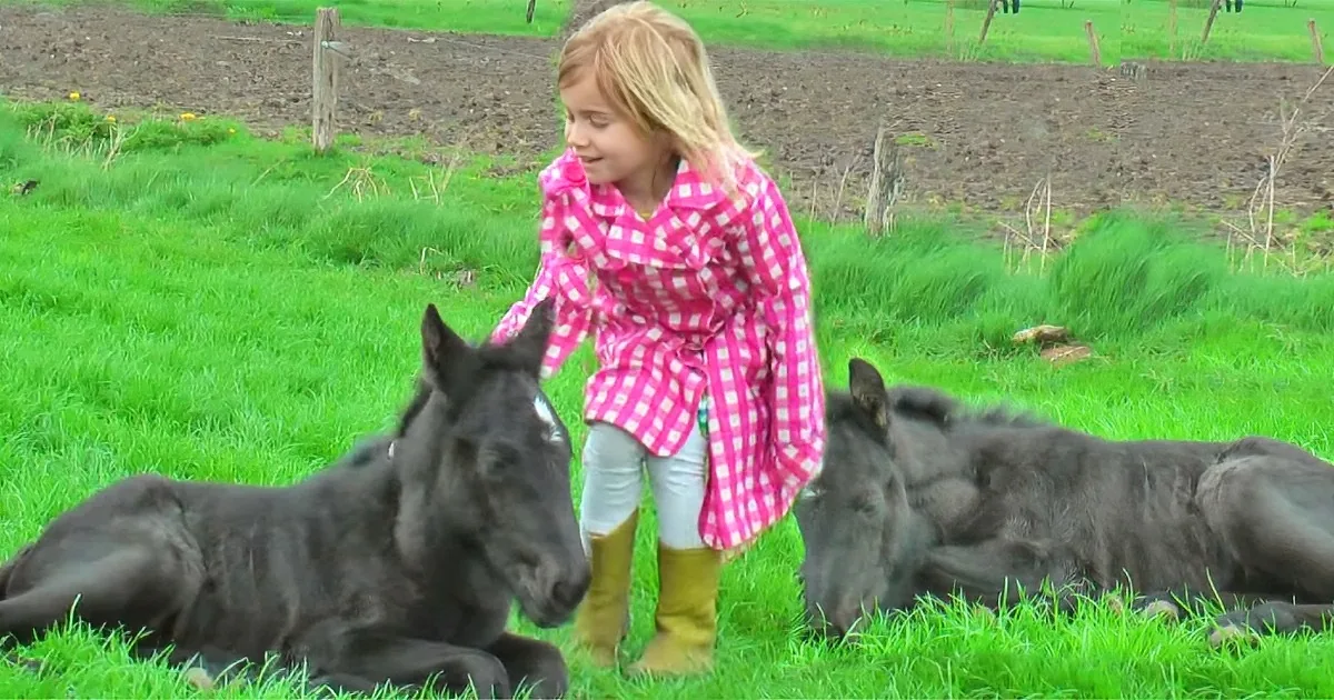 Horse Gives Birth to Incredibly Special Pair of Rare Twins
