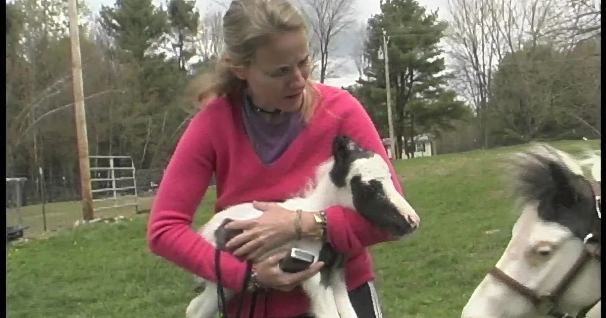 A woman in a pink shirt holds a small dog while standing outdoors near a horse.