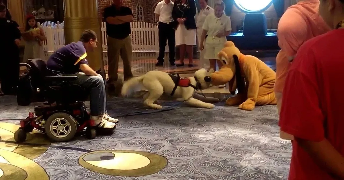 Service Dog on a Disney Cruise Goes Bananas When He Gets to Meet Pluto on Deck