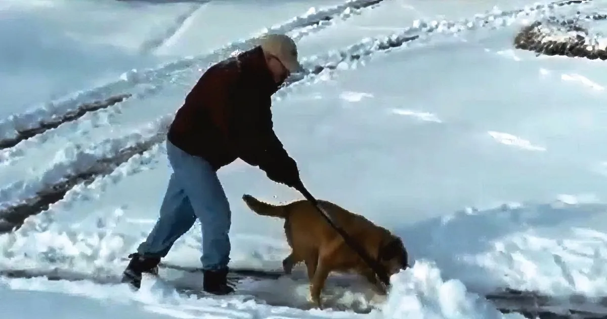 A man in winter gear helps a dog out of icy water.
