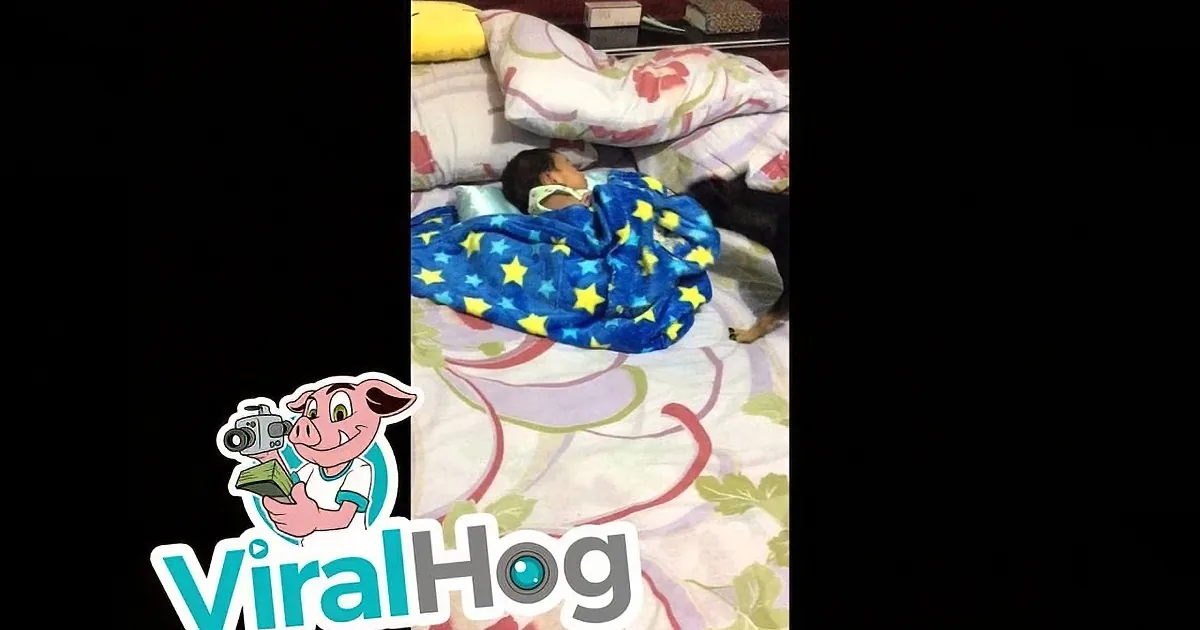 A child sleeps peacefully under a blue star-patterned blanket on a floral bedspread.