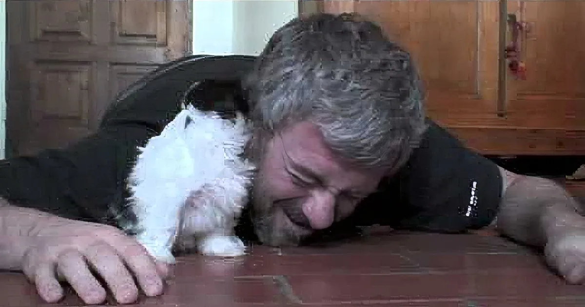 A man is lying on the floor, holding and interacting with a small black and white kitten.