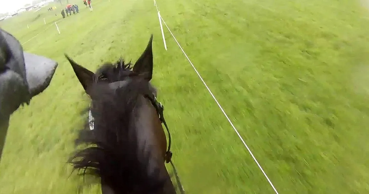 A horse's head and ears are visible, with a rider's leg and boot in the foreground, as the horse trots on a grassy field.