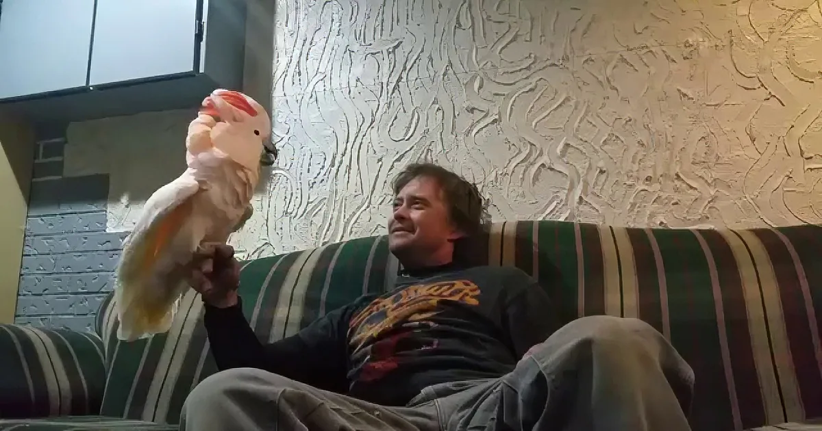 A man sits on a striped couch with a white cockatoo perched on his hand, both looking at the camera.