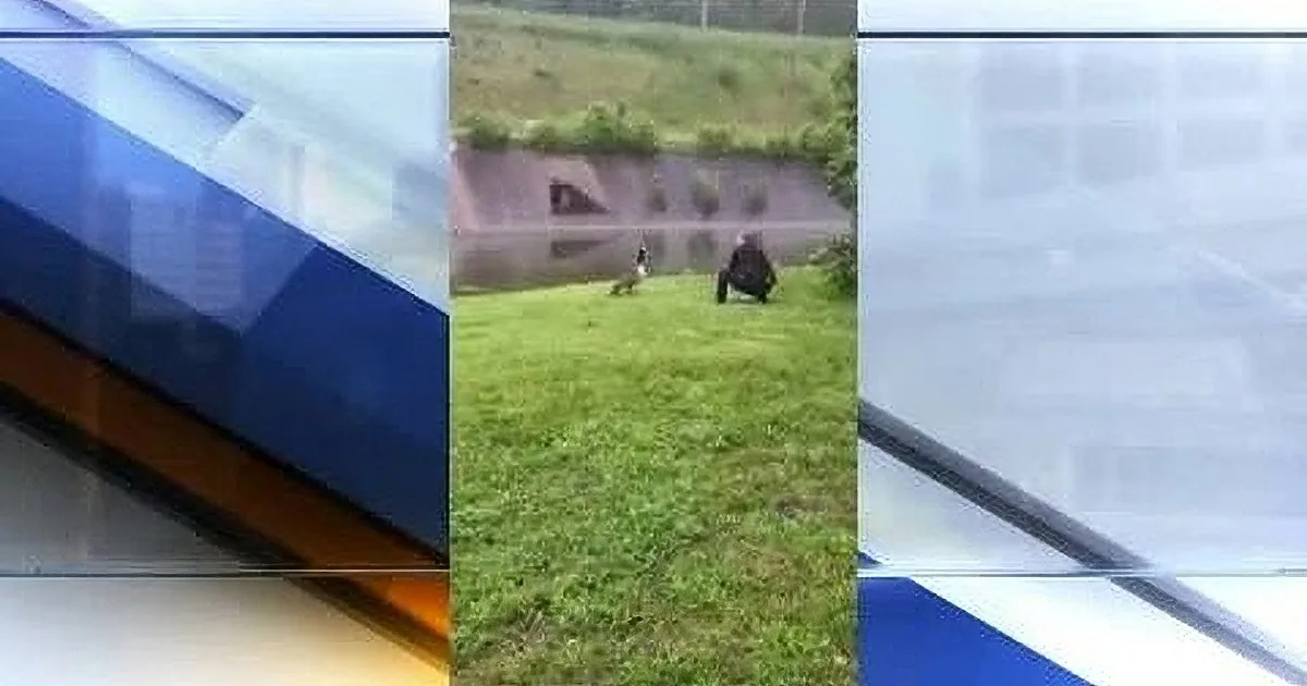 Goose Chase, Mother Goose Shows Cops Where Her Baby Goose Is Trapped