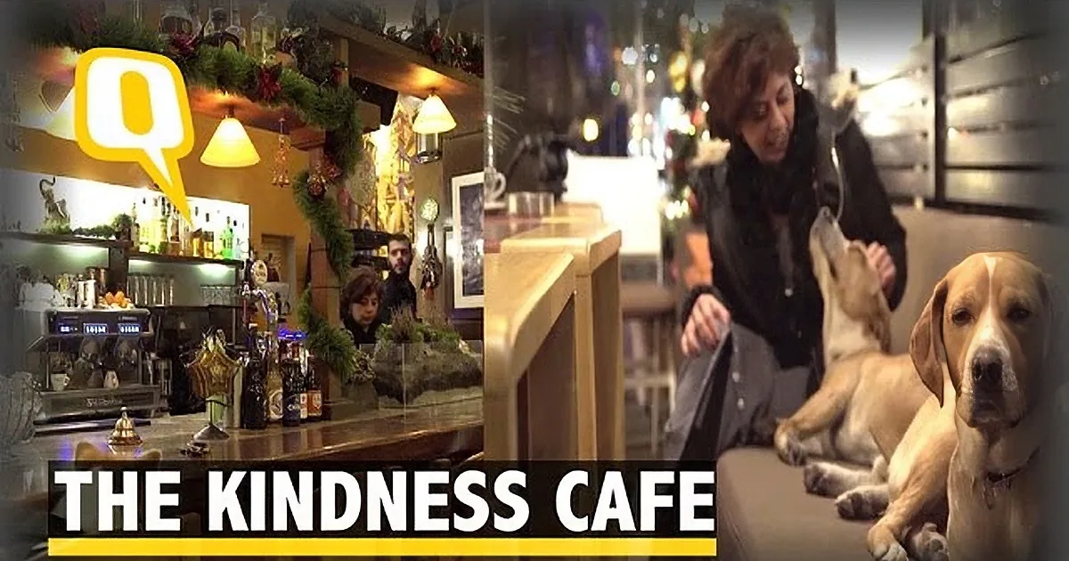 A Café Allows What During Winter? This Is Just Unbelievable!